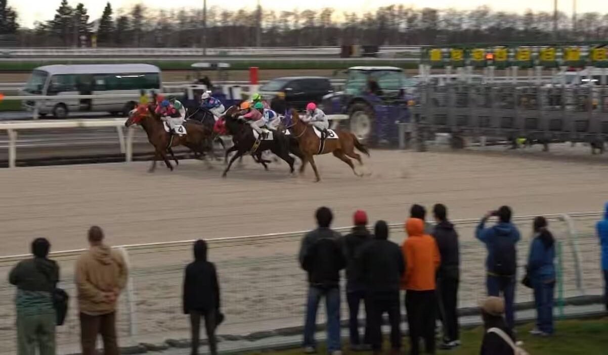 🏞️ 노보리베츠 곰 목장 (노보리베츠 쿠마보쿠조) 이미지 5